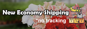 New Economy Shipping